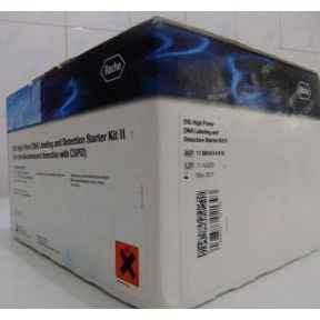 KAPA HyperPETE Explore RNA定制panel 50Kb-1536反应