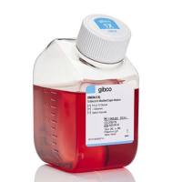 DMEM,高糖,11965092-500mL