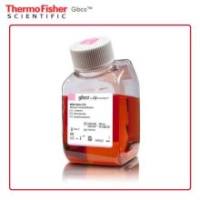 Gibco MEM α 核苷 12571089 6 x 1000 mL 培养基 