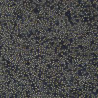 THP-1细胞敲除hCD33基因细胞系