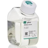 RPMI 1640 培养基，不含酚红，11835030-500mL