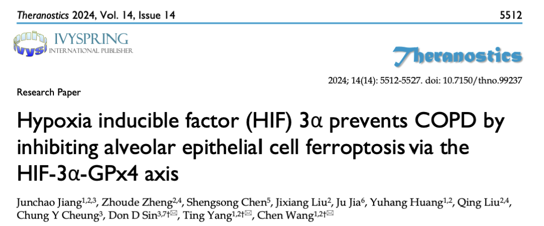 生信+湿实验=IF 12.4｜HIF-3α通过GPx4轴抑制肺泡上皮细胞铁死亡防治COPD