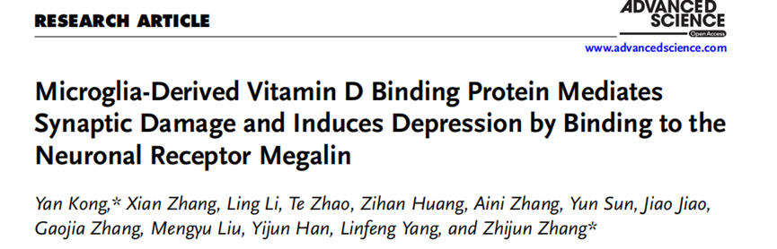 IF=14.3【客户文章】东南大学张志珺教授/孔岩副教授团队揭示VDBP介导小胶质细胞和神经元交互作用参与抑郁症发病的新机制