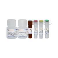 Amplex Red乙醇检测试剂盒