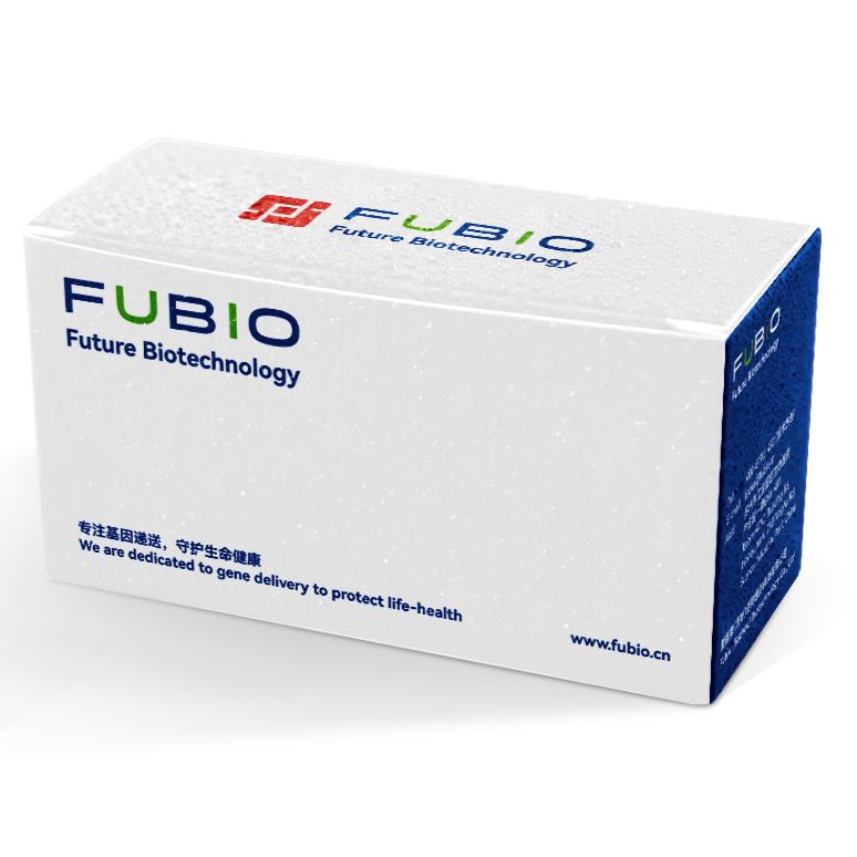 慢病毒/腺病毒/AAV病毒包装服务