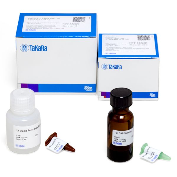 腺病毒滴度测定Adeno-X™ Rapid Titer Kit