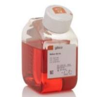 Gibco 12350039 培养基 199 Hanks 平衡盐 500mL