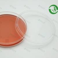 上海晶安I型IV型鼠尾胶原蛋白预包被细胞培养皿35mm60mm100mm