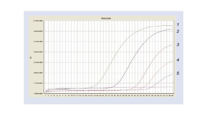 TGuide 病毒基因组DNA提取试剂盒