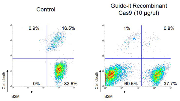 重组Cas9蛋白质Guide-it™ Recombinant