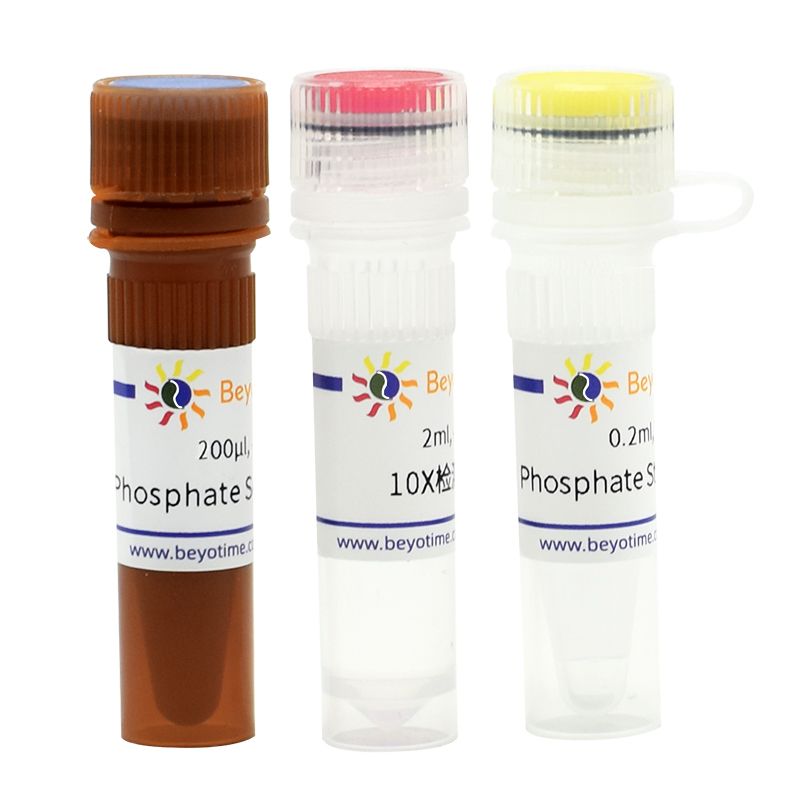 Phosphate Sensor Assay Kit (磷酸根荧光检测试剂盒)