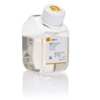 Gibco DMEM/F-12 培养基 不含酚红 21041025 500 mL