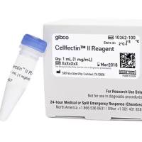 Cellfectin™ II 试剂，10362100-1mL