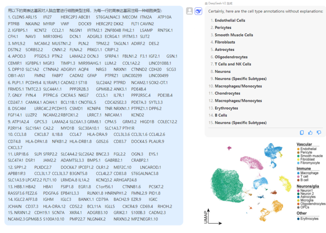 细胞类型注释太复杂？DeepSeek来帮你“认细胞”