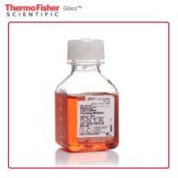 Gibco 12648010 Recovery  细胞培养冻存培养基 50mL