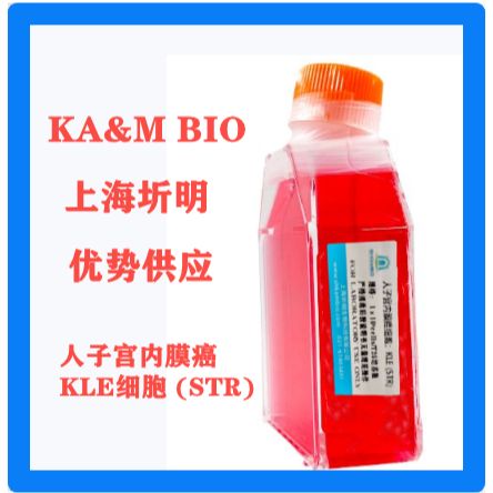 KLE(人子宫内膜癌细胞)