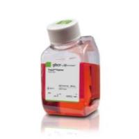 Gibco 12605028 TrypLE Express 酶 (1X) 酚红 500 mL 