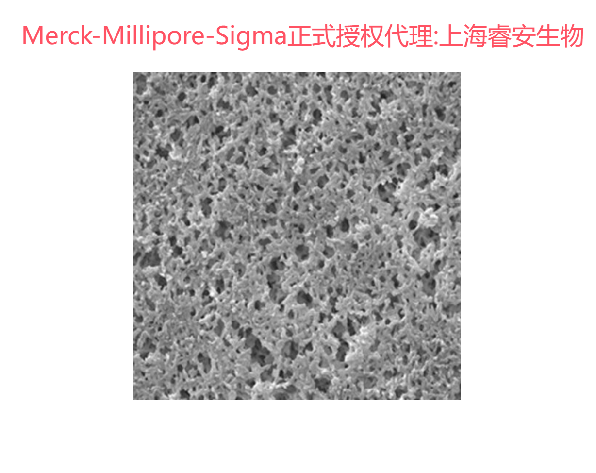Millipore货号HNWP04700尼龙网滤膜(孔径0.