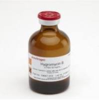 Gibco 10687010 潮霉素 B 抗生素 20mL