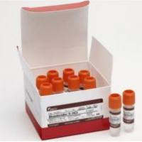 Gibco A1113903 杀稻瘟菌素 S HCl 抗生素 10 小瓶