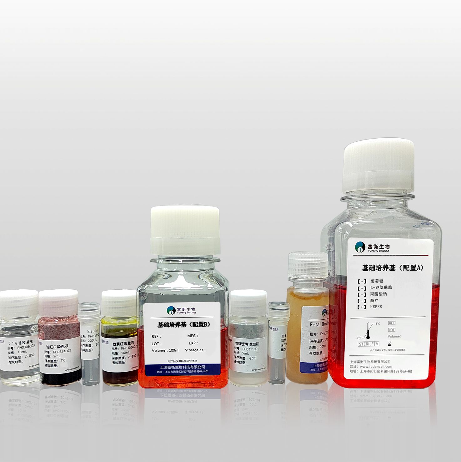 RAW264.7炎症模型构建试剂盒