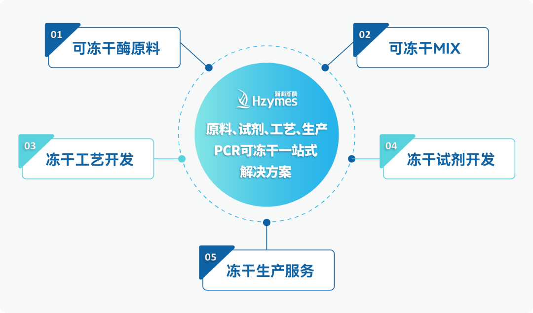 PCR可冻干试剂：打破传统限制，开启便捷检测新时代！