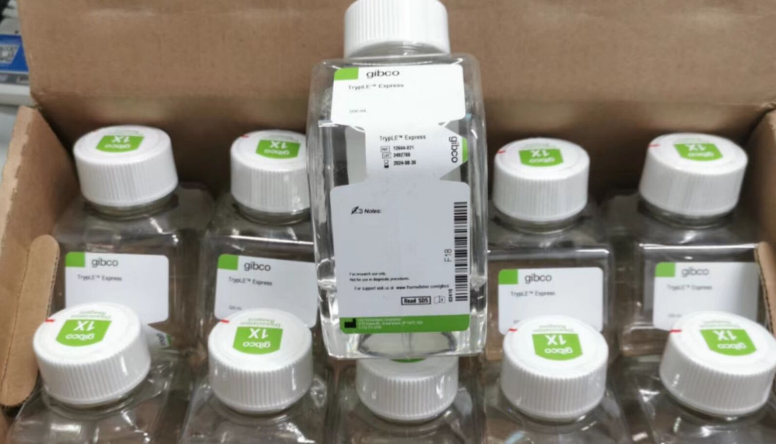 【最小抑菌浓度测定】琼脂稀释法VS肉汤稀释法