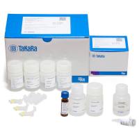 酵母质粒小量提取Easy Yeast Plasmid Isolation Kit