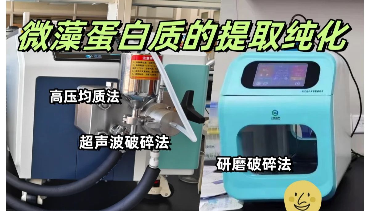 微藻蛋白提取纯化关键技术：高压均质机与超声波破碎仪紧密合作