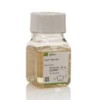 Gibco A1217702 TrypLE  Select 酶 (10X) 无酚红 500 mL