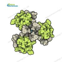 德谷胰岛素标准品 Insulin Degludec 844439-96-9