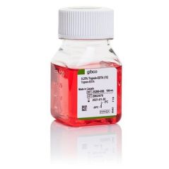 Gibco 胰蛋白酶-EDTA (0.25%) 含酚红 25200056 100 mL 