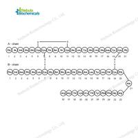 甘精胰岛素标准品 Insulin Glargine 160337-95-1