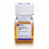 Gibco 10828010 KnockOut 血清替代物 100 mL