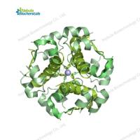 赖脯胰岛素标准品 Insulin Lispro 133107-64-9