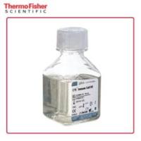 Gibco CTS 免疫细胞SR 血清替代物 A2596101 50 mL