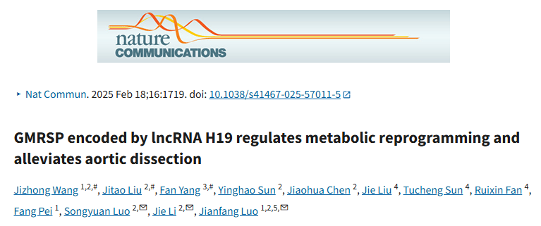 【Nat Commun】14+，代谢调节新视角——外泌体携“lncRNA H19 编码 GMRSP” 策略，必学秘籍！