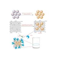 交联酶聚集体(CLEAs)-透明质酸(HA)修饰的磁性纳米颗粒(MNPs)-氧化石墨烯(GO)形成纳米复合物 GO-MNPs@HA-CLEAs
