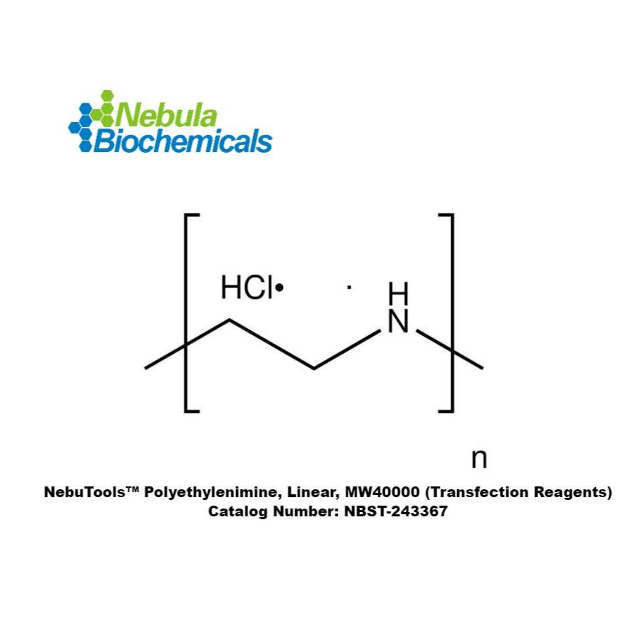 线性聚乙烯亚胺 Polyethylenimine, Linear, MW40000 (CAS 49553-93-7)