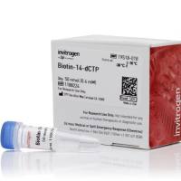 Biotin-14-dCTP，19518018-50nmol
