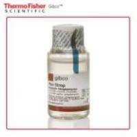 15140163 Gibco 青霉素-链霉素 (10,000 U/mL) 20 x 100 mL