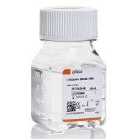 L-谷氨酰胺 (200 mM)，25030081-100mL