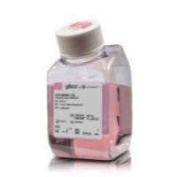 31985088 Gibco Opti-MEM I 减血清培养基 10 x 500 mL