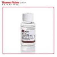 Gibco 青霉素-链霉素  (10,000 U/mL) 15140148 20 mL