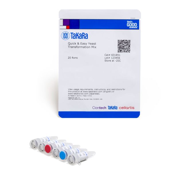 快速 & 简便 酵母转化Quick & Easy Yeast Transformation Mix