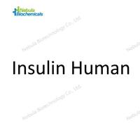 人胰岛素标准品 Insulin Human 11061-68-0