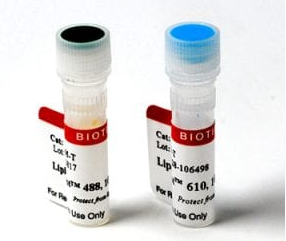 LipidSpot 488脂滴染色剂，科研好物不等待！