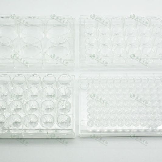 上海晶安I型鼠尾胶原包被6孔12孔24孔96孔培养板