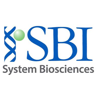 EGFP标记的Cas9蛋白（NLS-Cas9-EGFP）-EGFP-labeled Cas9 Protein (NLS-Cas9-EGFP)