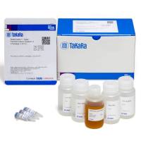 Yeastmaker酵母转化